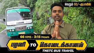 பழனி to கொடைக்கானல் பஸ் பயணம் I Palani To Kodaikanal Hill TNSTC Bus Travel 66 Kms | Rs:60 | 3.15Hrs