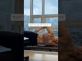 시간이 없을땐 복근 힙업 한번에 🤍 코어운동 복근만들기 힙운동 밴드운동 absandcore hipworkout easyworkouts