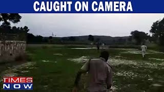 Caught On Camera: Cop Chase Cow Smugglers