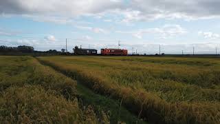 【第二弾】「仮想乗車～今日の津軽鉄道～」◆下り十川から五農校前　間　走行風景【20201006撮影】