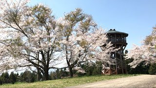 2022.4.9 アドレス110＆GB350Sとヤビツ峠お散歩ツーリング 県70菜の花台(展望台)～ヤビツ峠(ヤビツ峠レストハウス)～護摩屋敷の水～きまぐれ喫茶 BGM