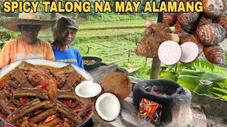 Spicy Talong na may Alamang at karning Baboy/Paghuhukay ng gabi  na tumotubo sa niyogan