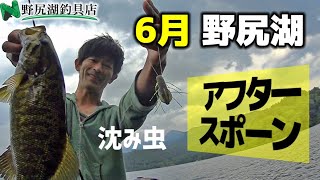 6月野尻湖バス釣り：アフタースポーンのスモールマウスバスを虫チューンのロケットバグのノーシンカーとパワーシュリンプのライトキャロで釣る