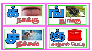 மெய் எழுத்துகள் (அடிப்படைத் தமிழ்) Learn Tamil mei eluthukkal (க் முதல் ன் வரை) மழலை Chutties.