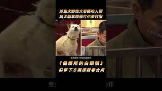 保護所收容咬人惡犬，導致工作人員重傷，訓犬師隱晦建議：還是安樂死吧#shorts