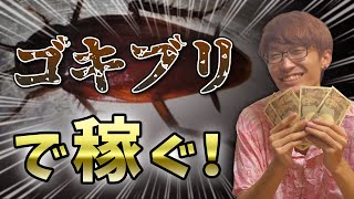 【稼げるバイト】ゴキブリで時給４万円のお金を稼ぐ方法【高額バイト】【害虫駆除】