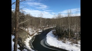 Ithaca Trails: The Cayuga Trail and Monkey Run