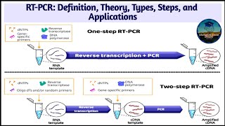 Real Time Polymerase Chain Reaction - Definition, Types, Steps, and Applications - Molecular Biology