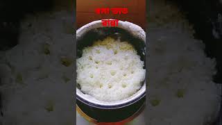 বসা ভাত রান্নার রেসিপি|How to cook steam rice|#rice #steamrice