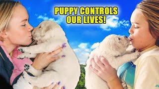 Puppy Controls My Daughter’s Life For 24 Hours!