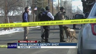 Mesa county Sheriff's Deputy Shot