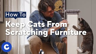 How To Keep Cats From Scratching Furniture | Chewtorials