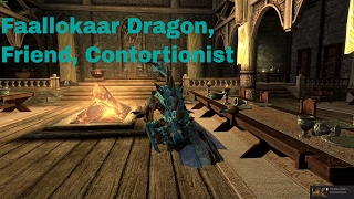 Faallokaar SE - The loyal voiced dragon and human follower by Bifteki Ported By xenocraft1212 (PC)