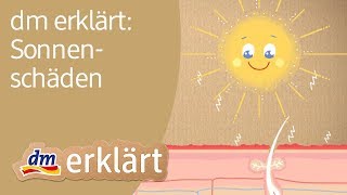 dm erklärt: Sonnenschäden