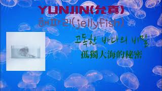 【韓繁中字】HUH YUNJIN(許允眞) - 해파리(jellyfish)