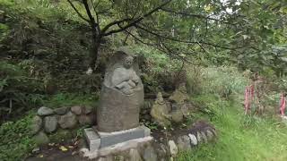 [VR180] 川岸歩き(多摩川(下り))006 Walking along the riverbanks of Japan (Tama River(down)) 006