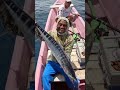 Trolling tenggiri wahoo 🤙🏻🔥 #tenggiri #rapalafishing