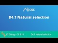 D4.1 Natural Selection [IB Biology SL/HL]