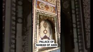 Palace Of The Nawab Of Amb Shergarh #shorts