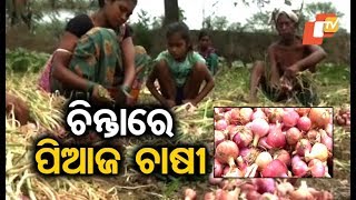 Nuapada onion farmers in distress