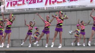 三丸大サーカス　from B.exciting☆大賞＠2013　ハマこい踊り