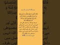 Surah Nisa Ayat 175 With Urdu Translation | The Noble Quran and Hadith