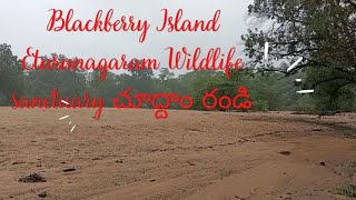 Blackberry Island, Eturunagaram Wildlife sanctuary, Mulugu District