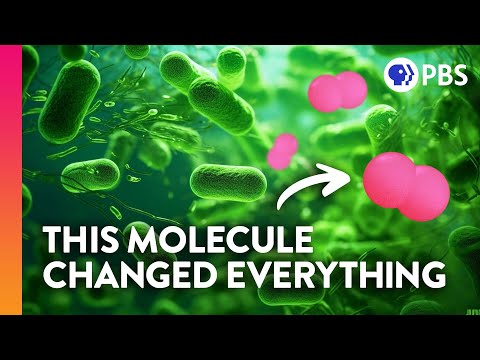 What is chemistry in real life?