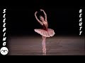 Sleeping Beauty (Rose Adagio, variation) - Maria Khoreva in Japan