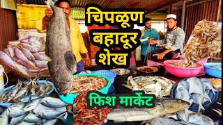 चिपळूण बहादूर शेख मासळी बाजार | Chiplun Bahadur Shaikh Fish Market | कोंकण चिपळूण फिश मार्केट 🐋😱🦈