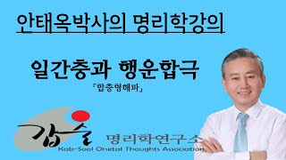 일간충과 행운합극-(합충형해파)-갑술명리학 안태옥박사의 팔자간명비법