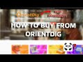 HOW TO BUY FROM ORIENTDIG (NEW PANDABUY + FREE SHIPPING METHOD)