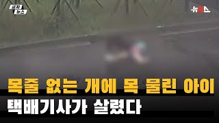 목줄 없는 개에 목 물린 8세 아이…택배기사가 살렸다