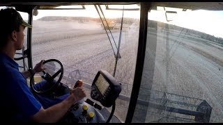 Cosecha Cereal 2016 // Harvest 2016 [GoPro HD]