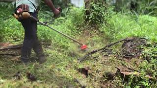 Musthu‘സ് പുല്ല് വെട്ടൽ 😜/ mowing the grass