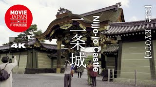 京都　世界遺産　二条城  4K  Nijo-jo Castle