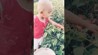 দেশি কলকার 😎 yo yo Honey singh 😎😎#shortvideo #cutebaby #viralvideo #love #cute