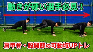 肩甲骨・股関節の動きを柔らかくする！チームで取り入れたい簡単エクササイズ