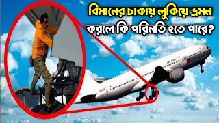 বিমানের চাকায় লুকিয়ে ভ্রমন করতে চাইলে হবে এমন পরিনতি।