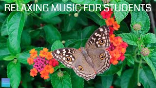 Relaxing Music For Elementary Students - Insects - Quiet classroom music for children, study music