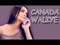 CANADA WALIYE || Harf Cheema || Stand Jatt Da || Panj-aab Records || Latest Punjabi Song 2016
