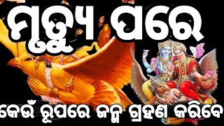 ମରିବା ପରେ କେଉଁ ରୂପରେ ଜନ୍ମ ନେବେ ଜାଣନ୍ତୁ॥Know in what form you will be born after death#rrodiabhakti