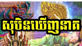 សុបិនឃើញនាគ ​​    #ជំនឿ