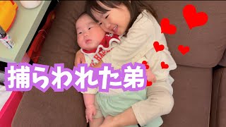 【3歳と生後4ヶ月】弟愛が止まらないお姉ちゃんがベタベタすぎる(笑)