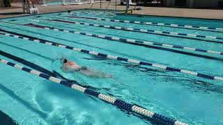 Freestyle Swim (Distance Per Stroke)