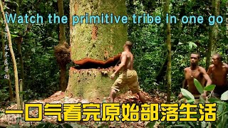 一口气看完原始部落大型纪录片，浓缩都是精华I watched a large-scale documentary on primitive tribes in one go