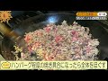 【 番外クッキング編④】全国ジビエフェアに参加して”イノシシ肉のラグーソース”を作りました。コロナに負けず経済を回そう日本！！ジビエ編第２弾！！！