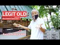 A bee hotel operator in Singapore | Legit Old