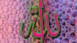 Duosi qabul bo'lmaydiganlar. 5-qism.