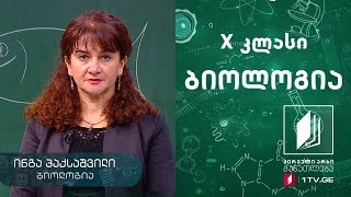 ბიოლოგია, X კლასი - ექსკრეცია და ოსმორეგულაცია #ტელესკოლა